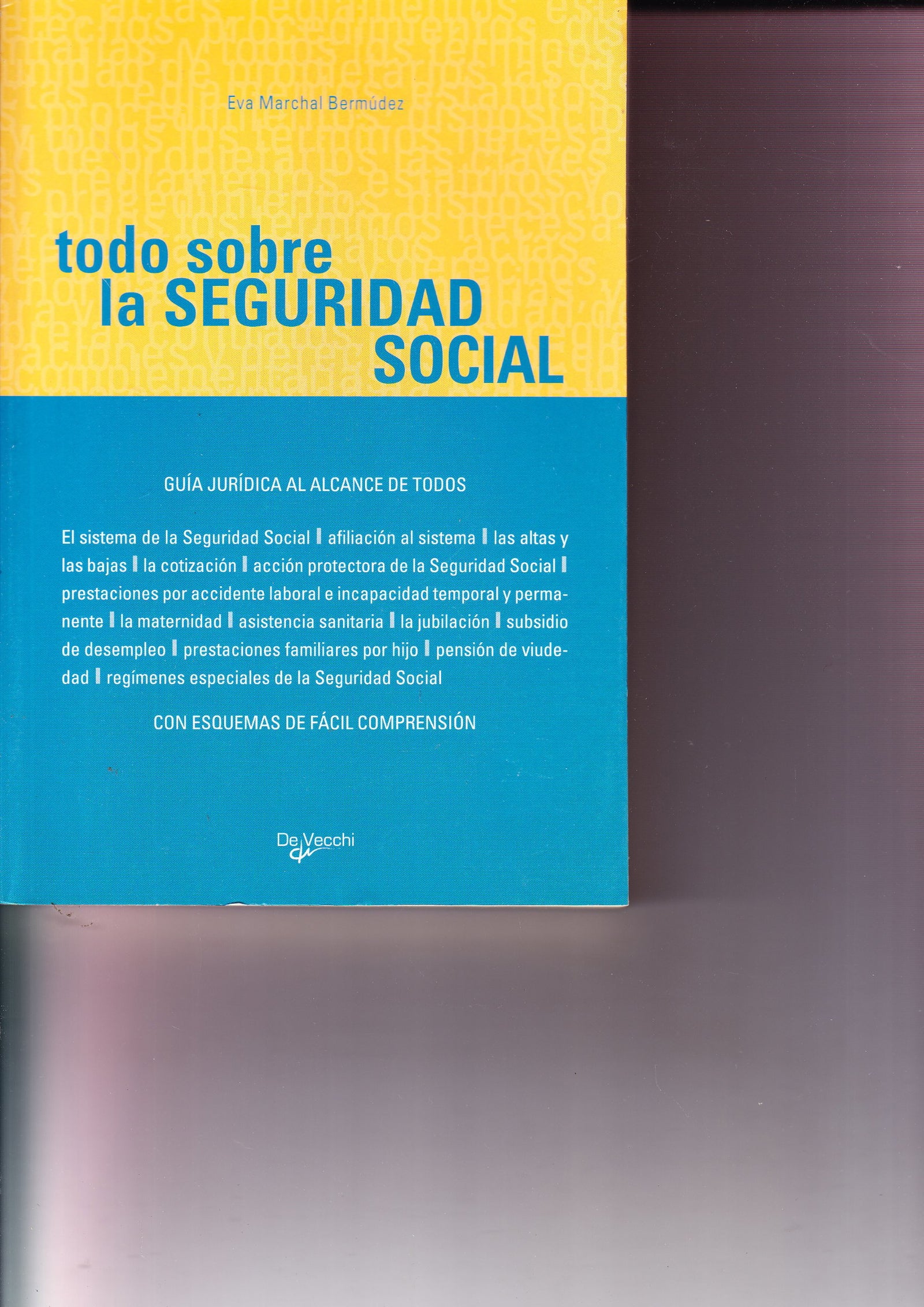 Todo sobre la seguridad social