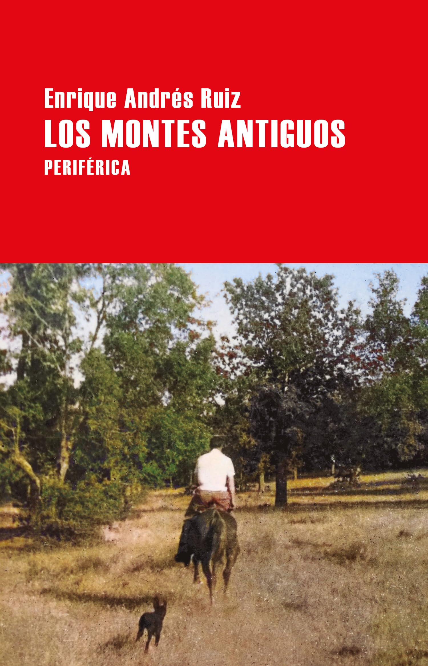 Los montes antiguos: 164 (Largo Recorrido)