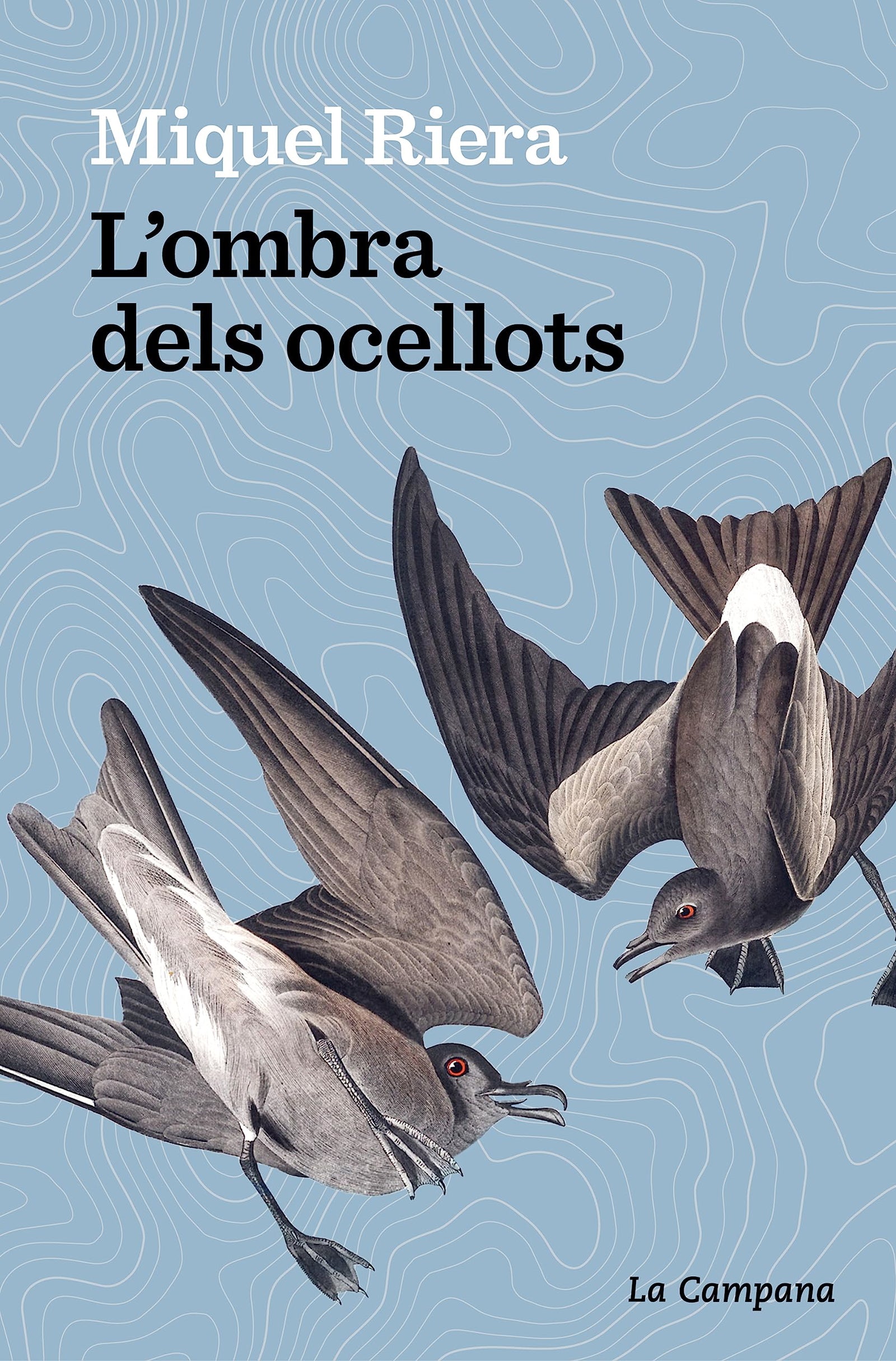 L’ombra dels ocellots (Narrativa Catalana)