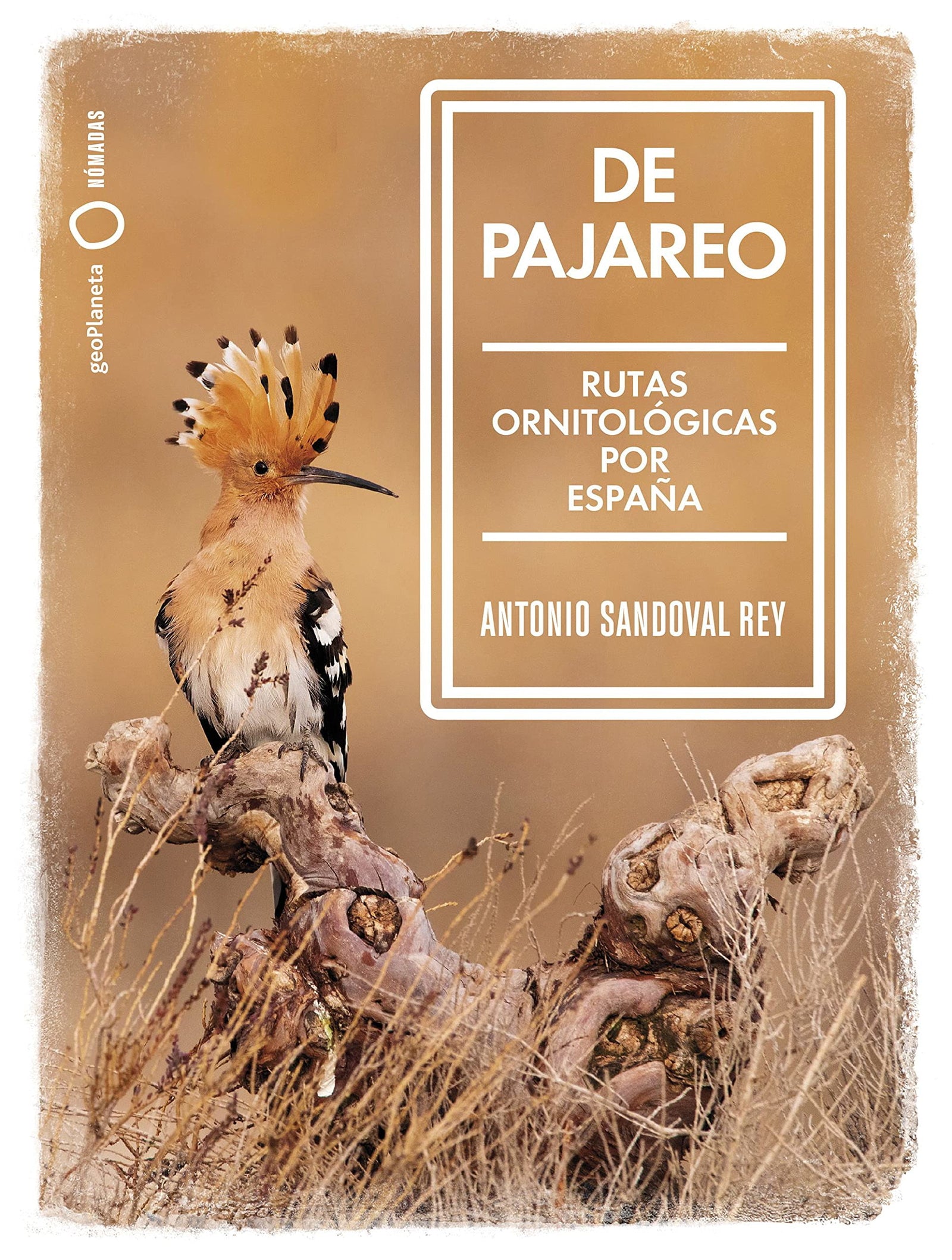 De pajareo: Rutas ornitológicas por España (Nómadas)