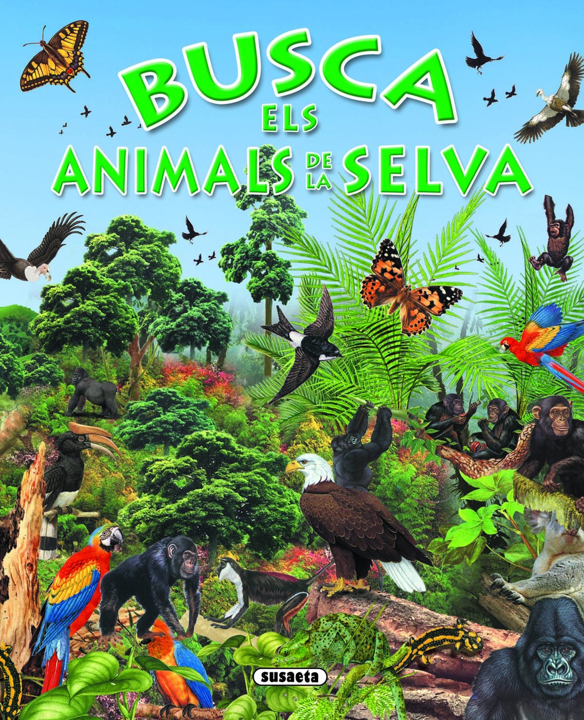 Animals De La Selva (Bus) (Busca ...)