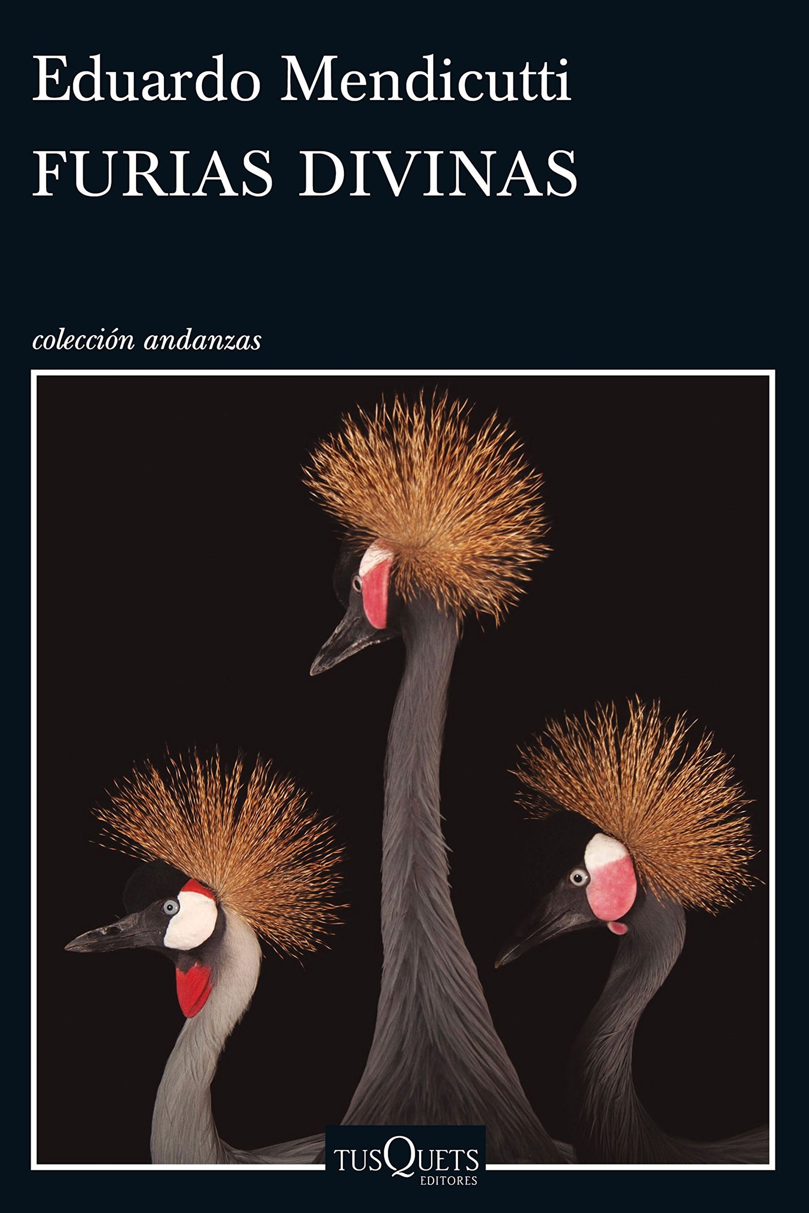 Furias divinas (Andanzas)