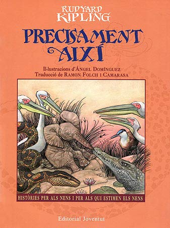 PRECISAMENT AIXI -Rondalles- (FUERA DE CATALOGO)