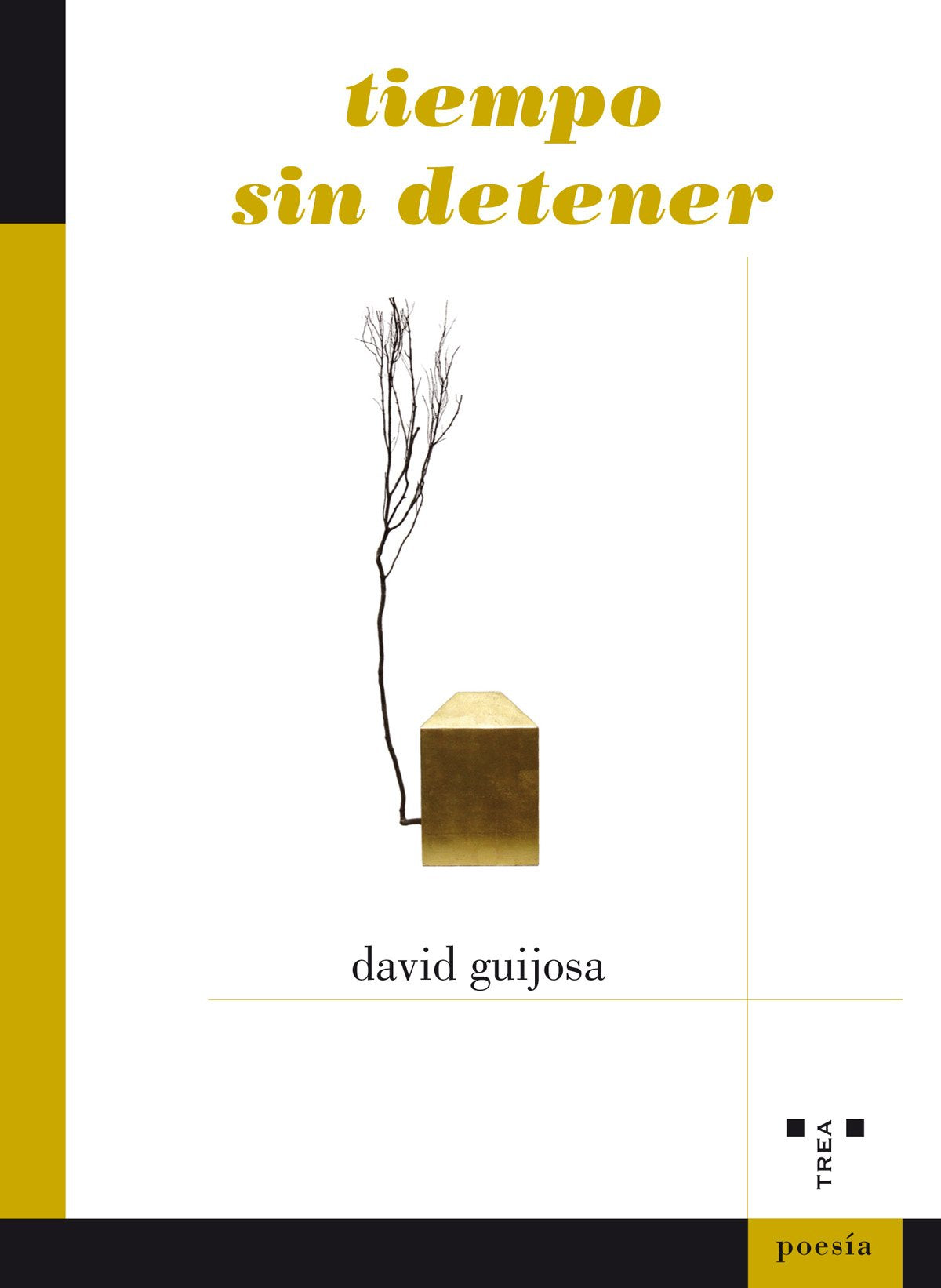 Tiempo sin detener (Poesía)