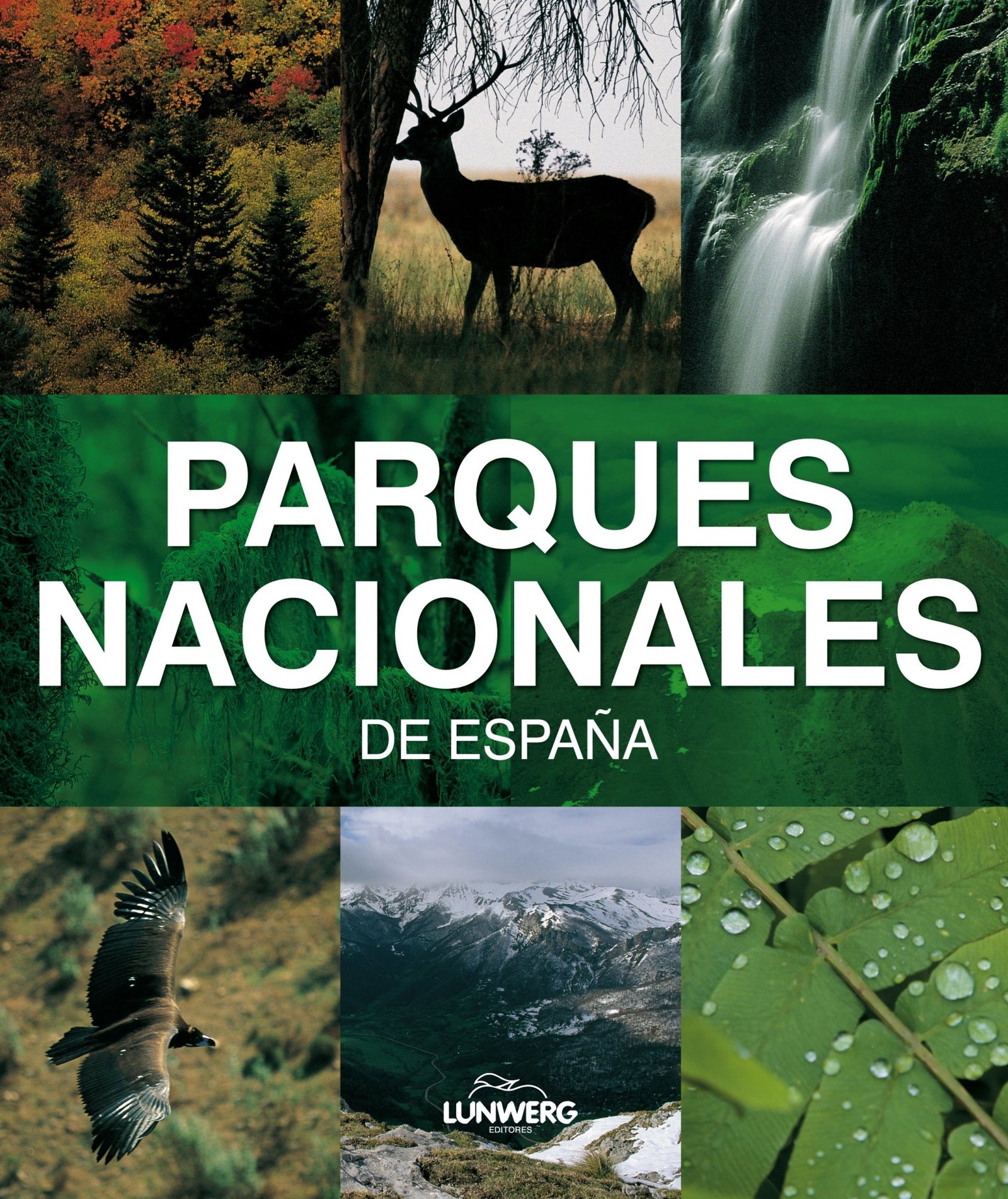 Parques nacionales de España. Lunwerg Medium: 1