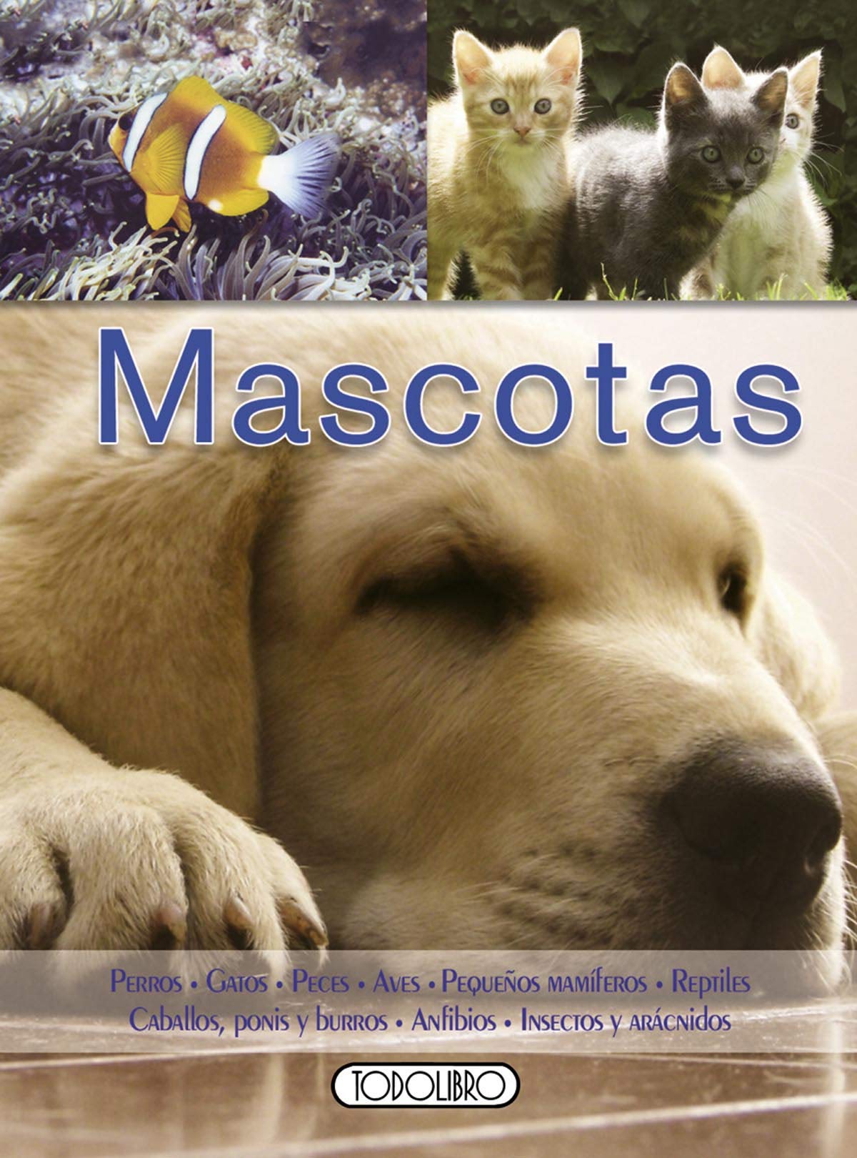Mascotas (Miniprácticos)