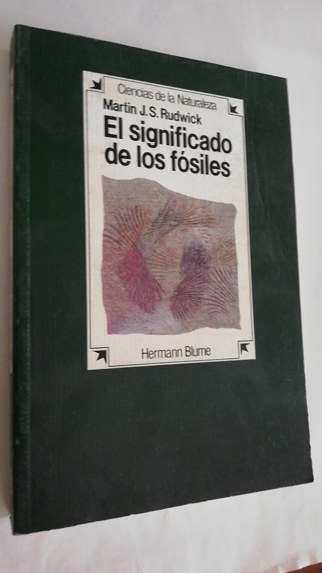 Significado de los fosiles, el