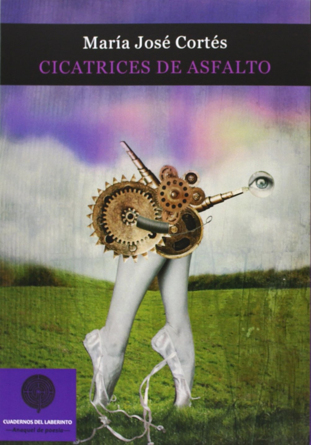 Cicatrices De Asfalto (ANAQUEL DE POESIA)