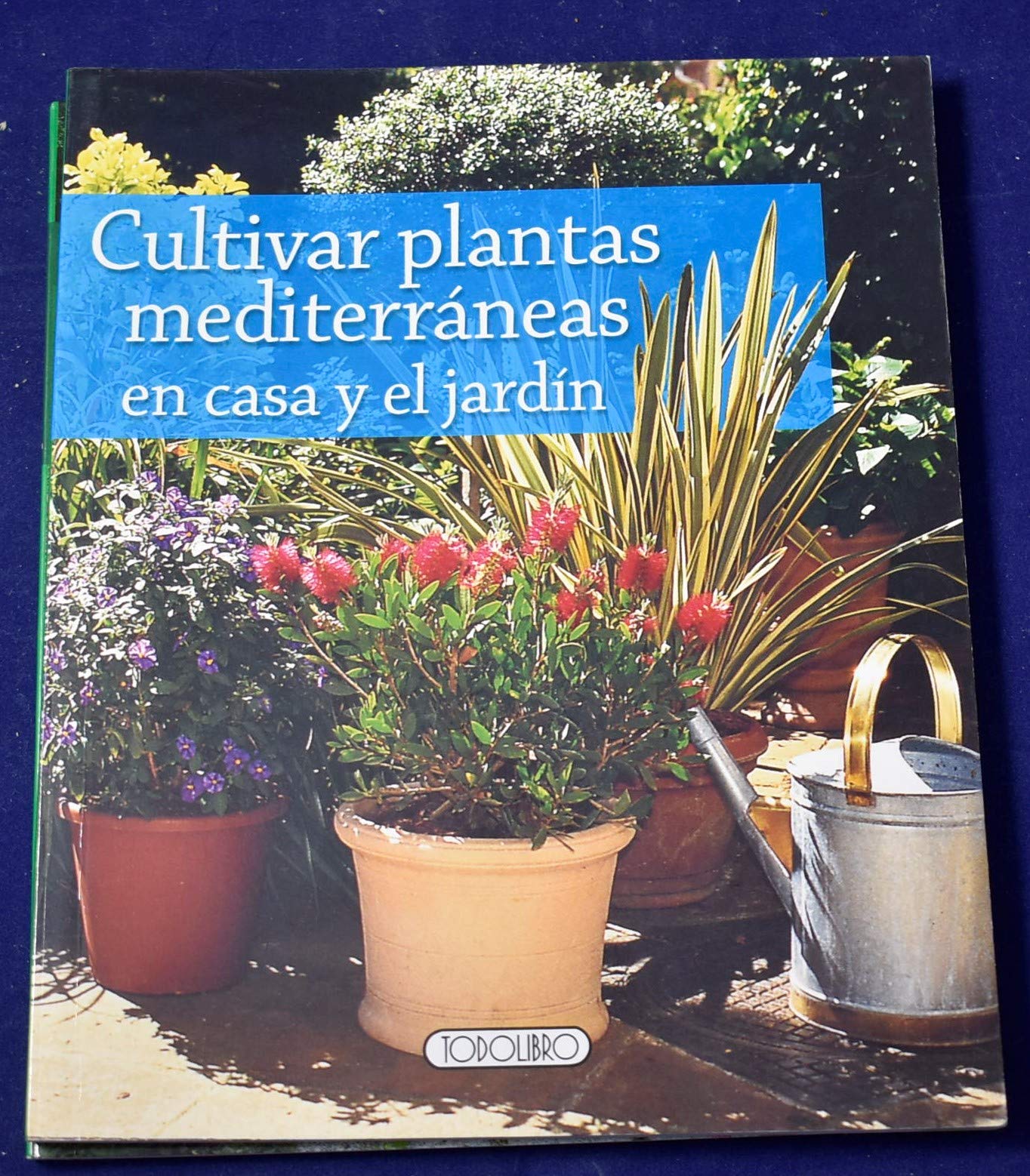 Cultivar plantas mediterraneas en casa y jardin