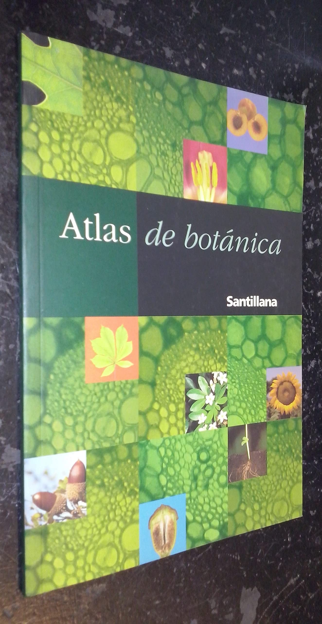 ATLAS DE BOTANICA SANTILLANA (DICCIONARIOS Y ATLAS)