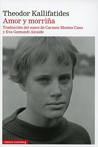 Amor y morriña (Narrativa)