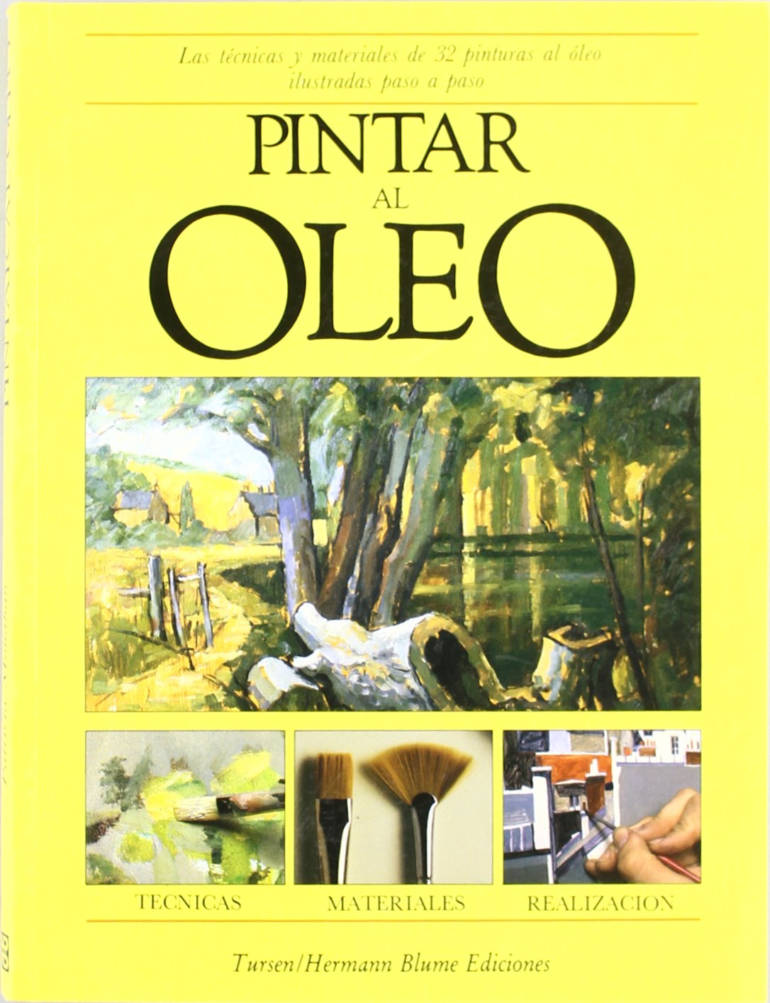 Pintar al óleo: 20 (Artes, técnicas y métodos)