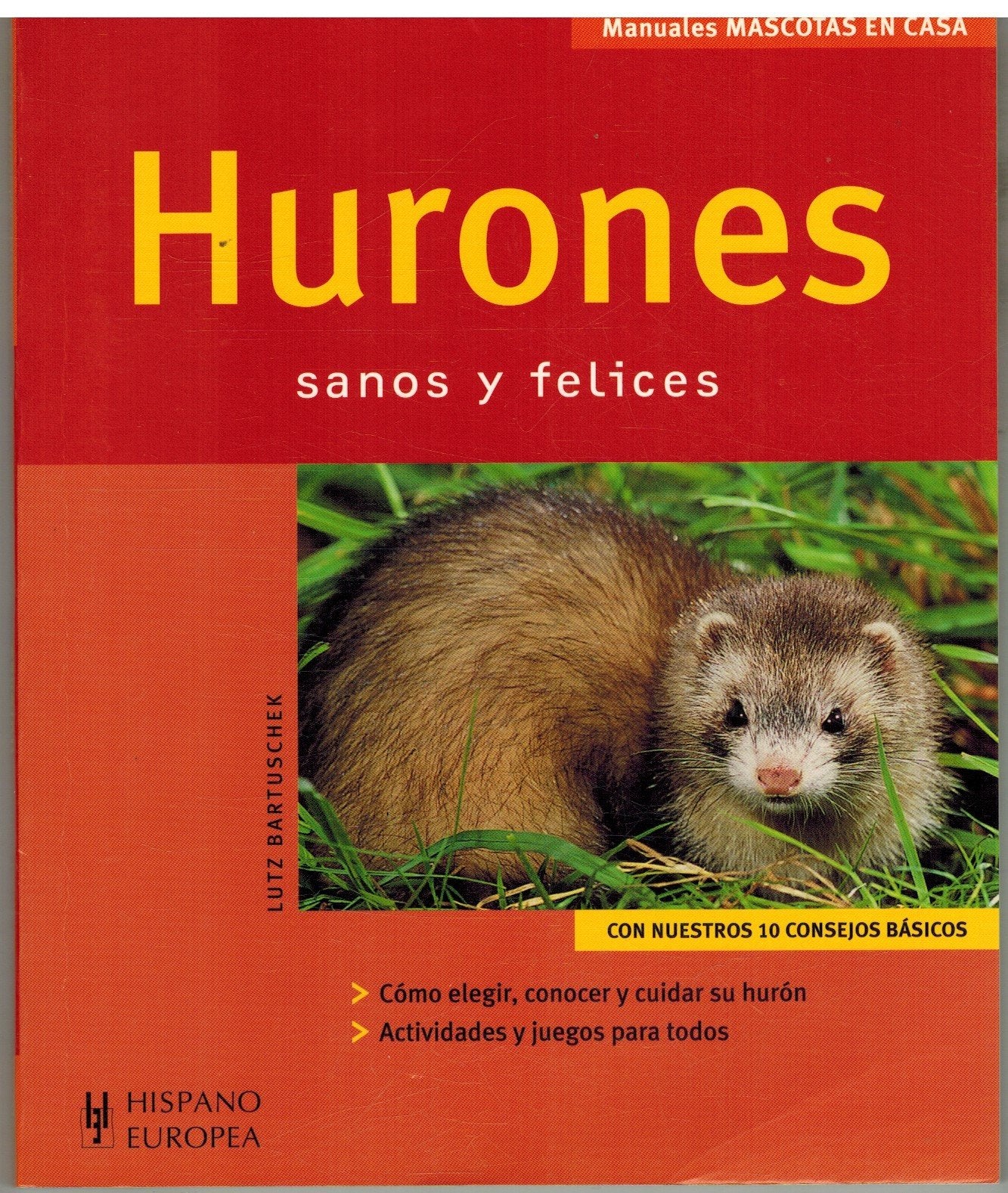 Hurones (Mascotas en casa)