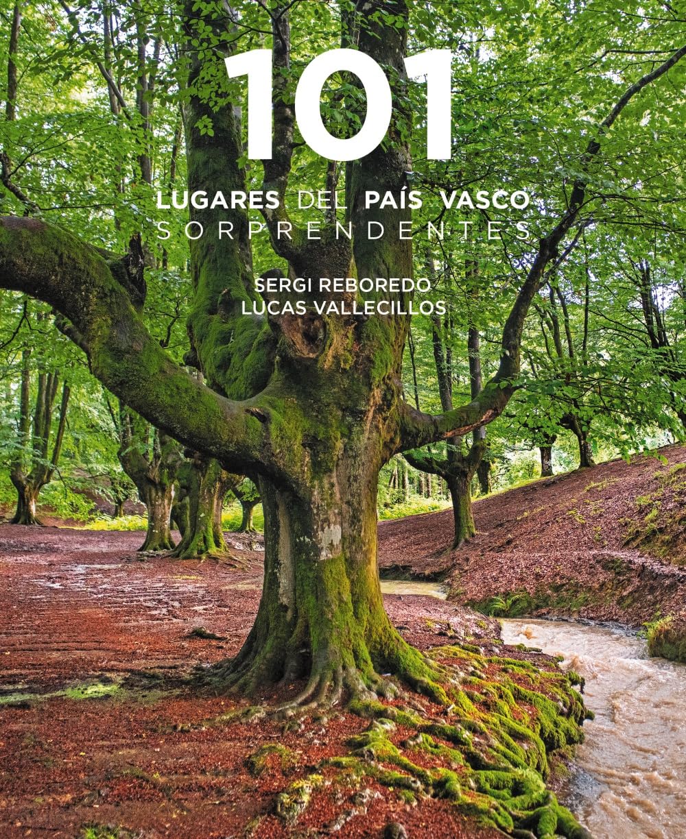 101 Destinos del País Vasco sorprendentes (Guías Singulares)