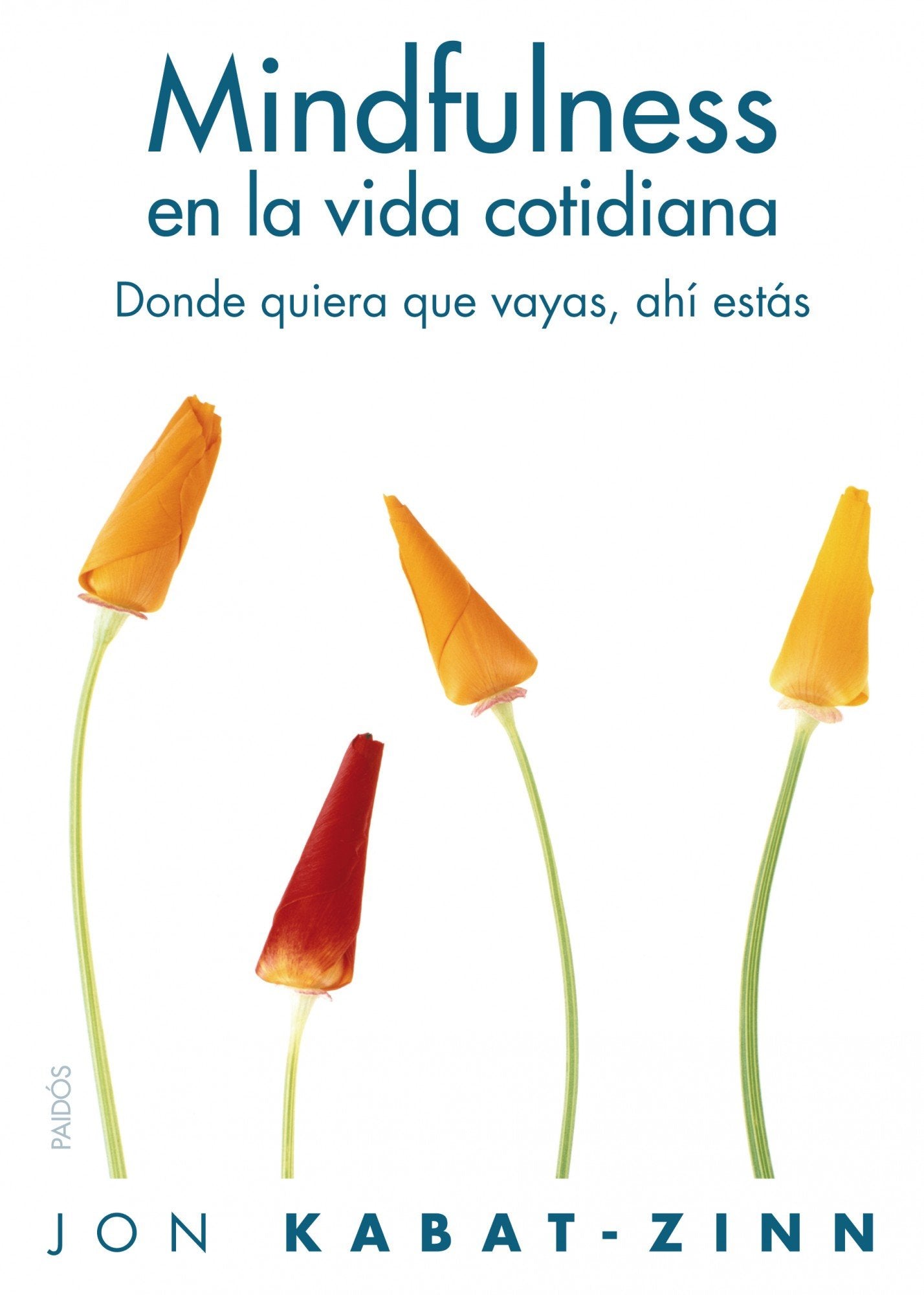 Mindfulness en la vida cotidiana: Donde quiera que vayas, ahí estás: 256 (Divulgación)