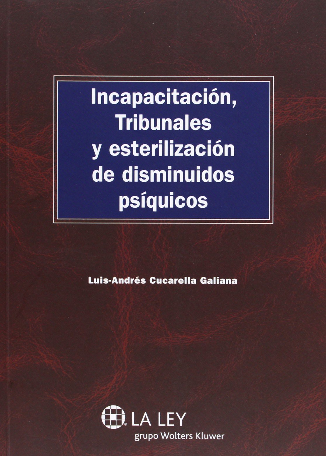 Incapacitación, tribunales y esterilización de disminuidos psíquicos (Monografías Proceso Civil Práctico)