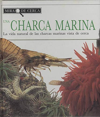 Charca marina, una. la vida natural de las charcas marinas vista de ce