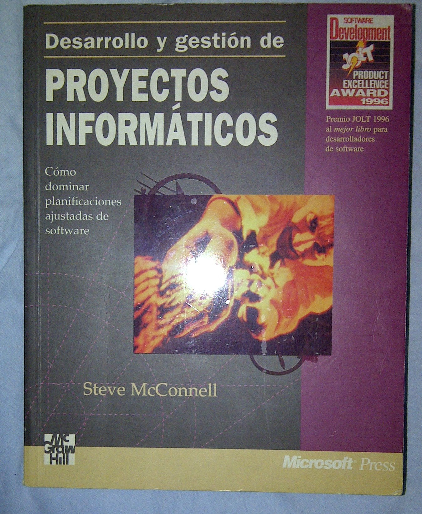 DESARROLLO GEST.PROYECT.INFORM (SIN COLECCION)