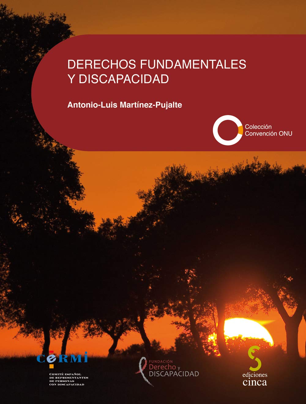 Derechos fundamentales y discapacidad: 14 (Coleccion Convención ONU)