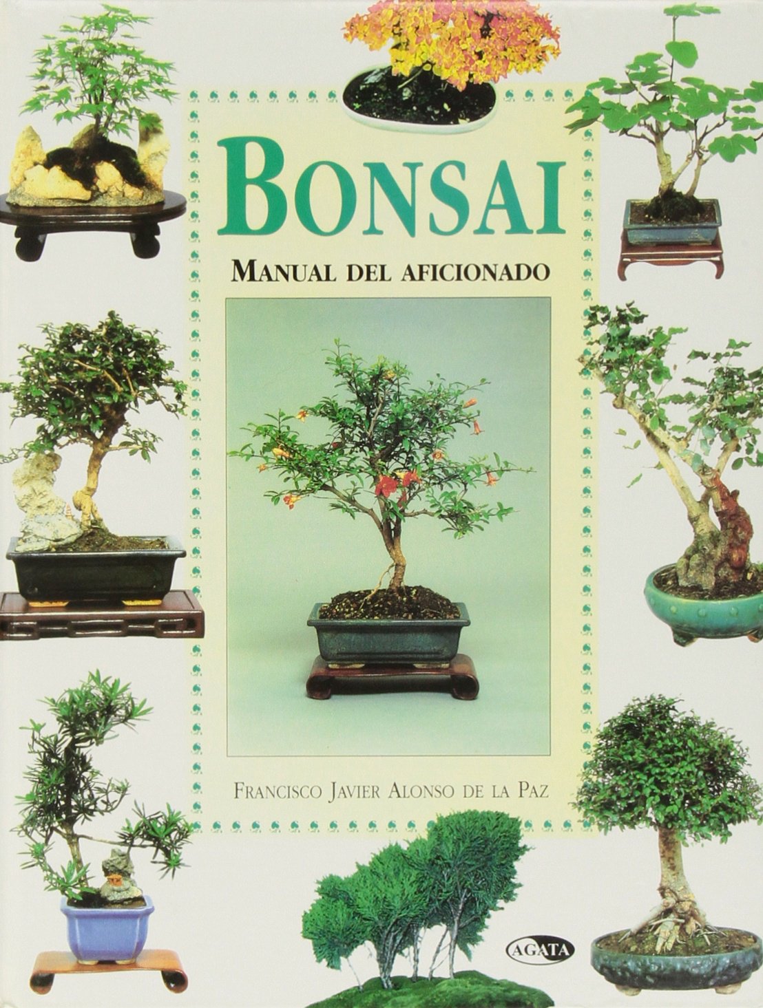 BONSAI-MANUAL DEL AFICIONADO (SIN COLECCION)