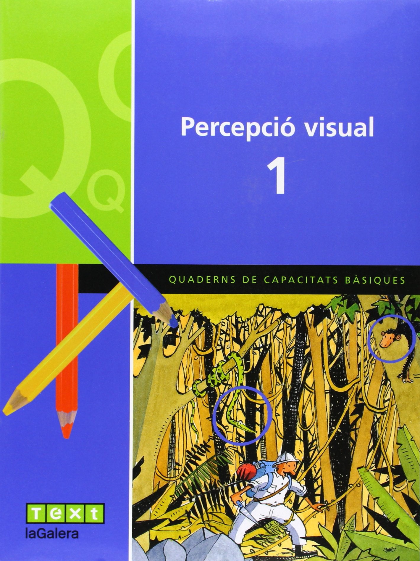 Quadern de percepció visual 1 (Q. DE CAPACITATS BÀSIQUES) - 9788441209268: 706 (Quad. capacitats bàsiques)