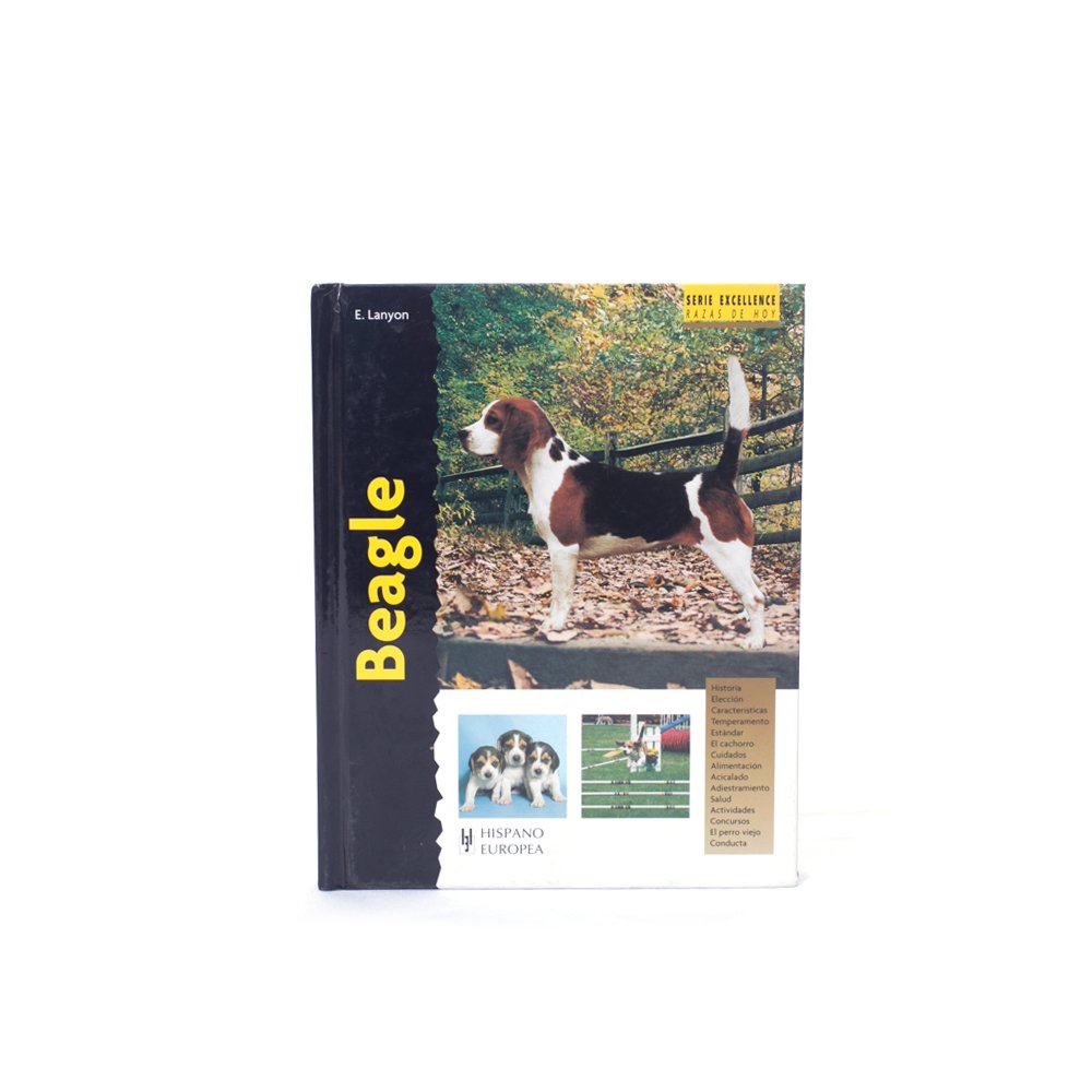 Beagle (Excellence)