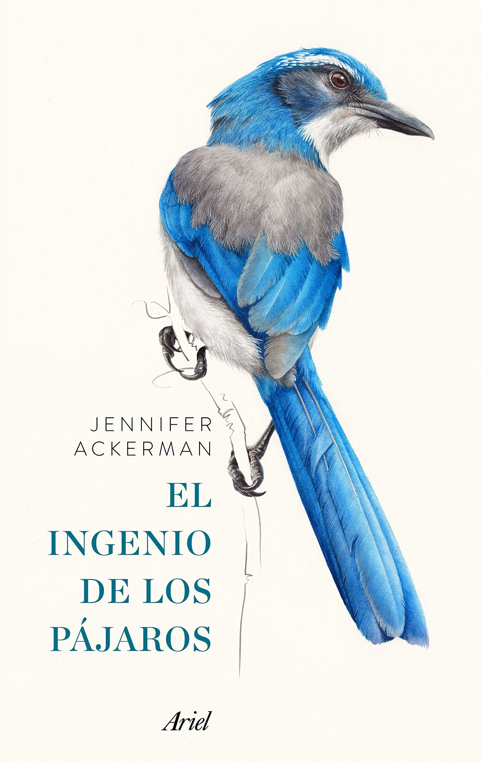 El ingenio de los pájaros (Ariel)
