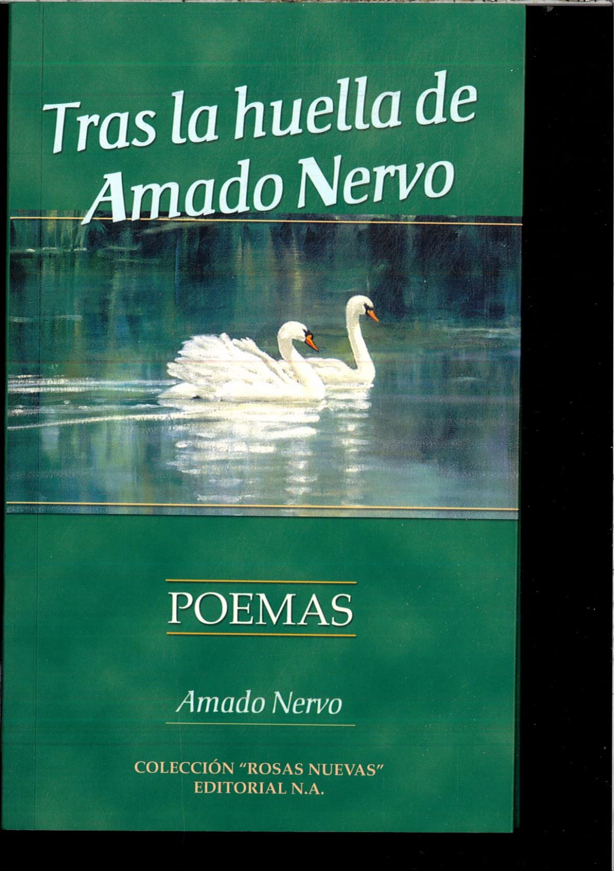 Tras la huella de amado nervo: poemas