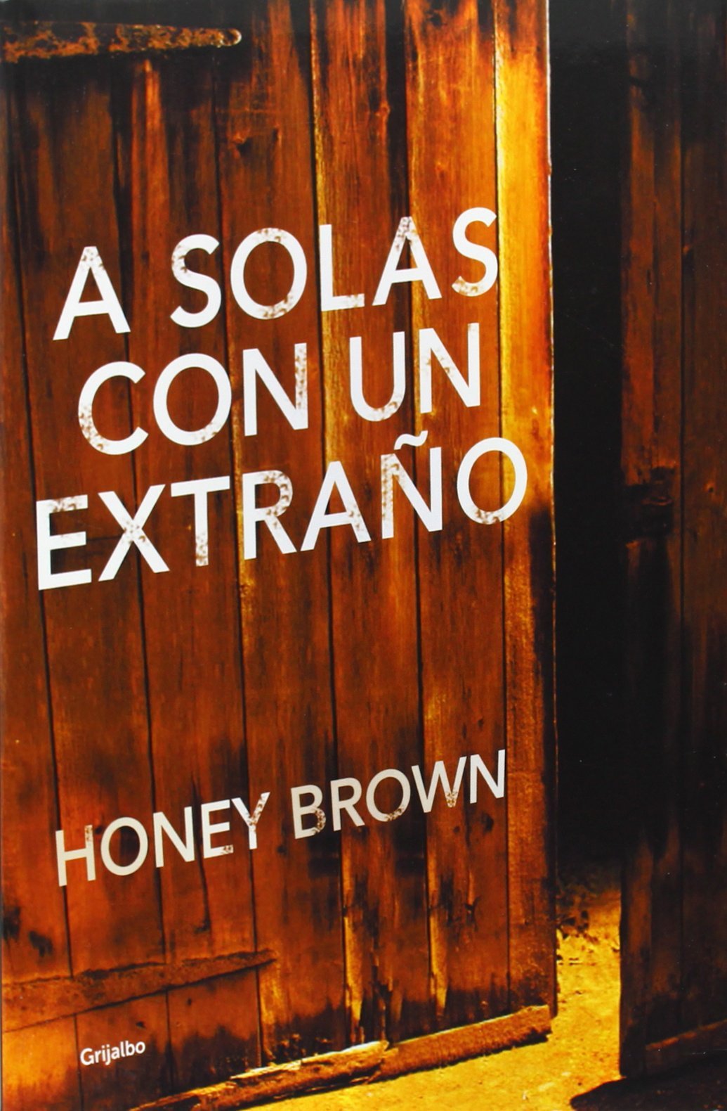 A solas con un extraño (Novela de intriga)