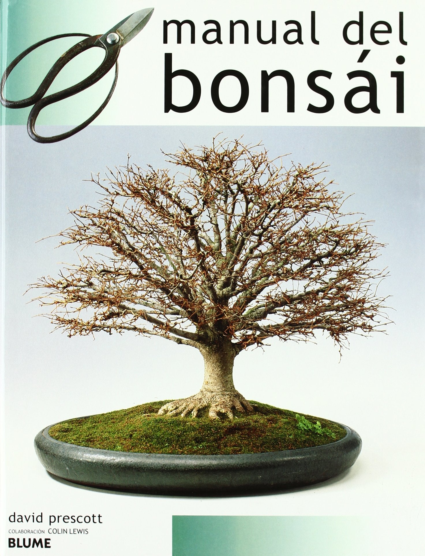 Manual del bonsai (Guias Naturaleza Blume)