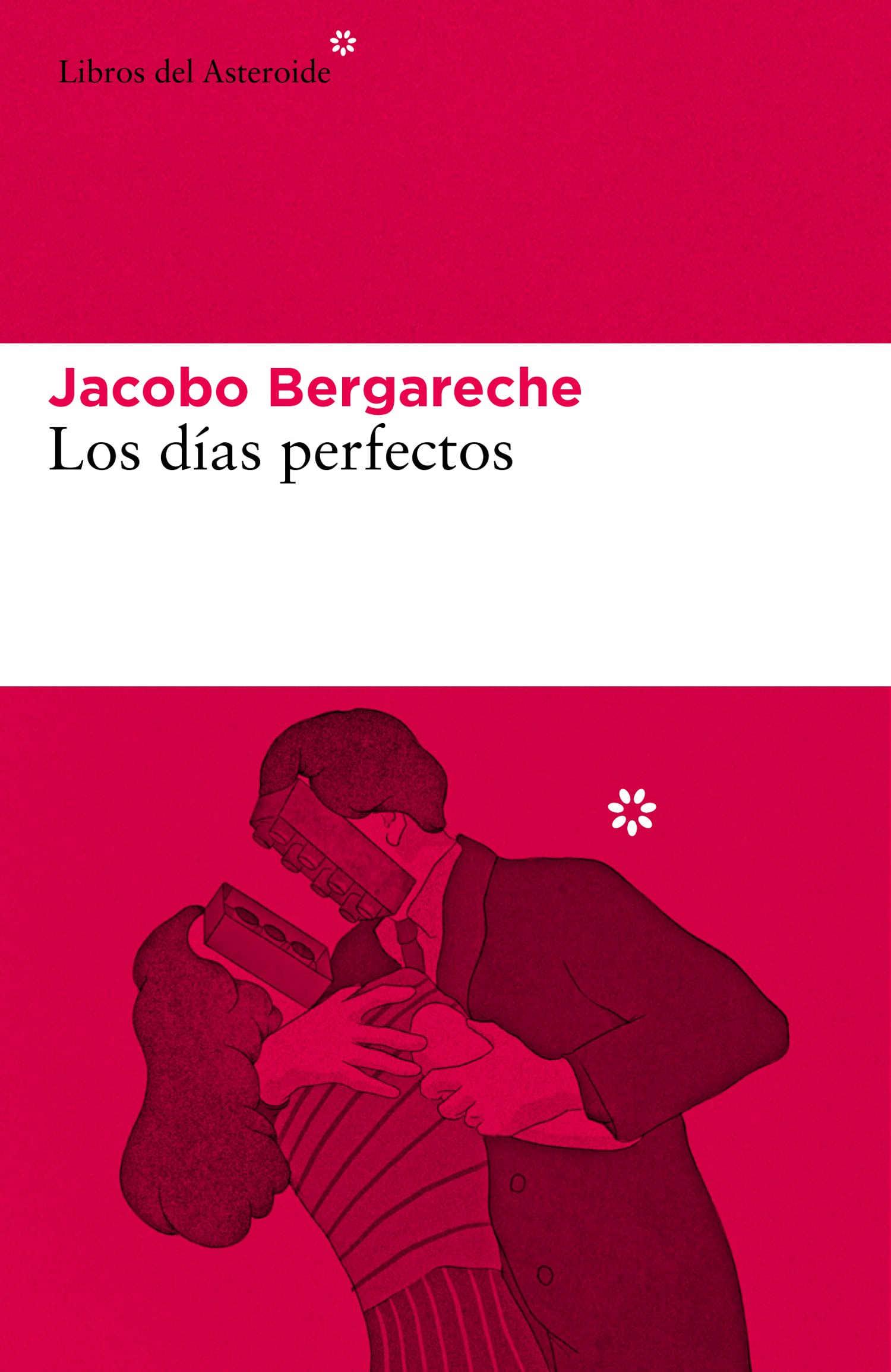 Los días perfectos: 255 (Libros del Asteroide)