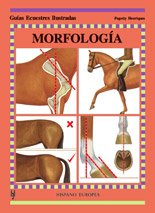 Morfología (Guías ecuestres ilustradas)