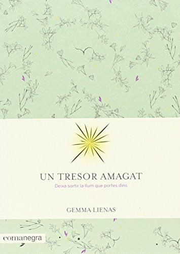 Un tresor amagat (Emociones)
