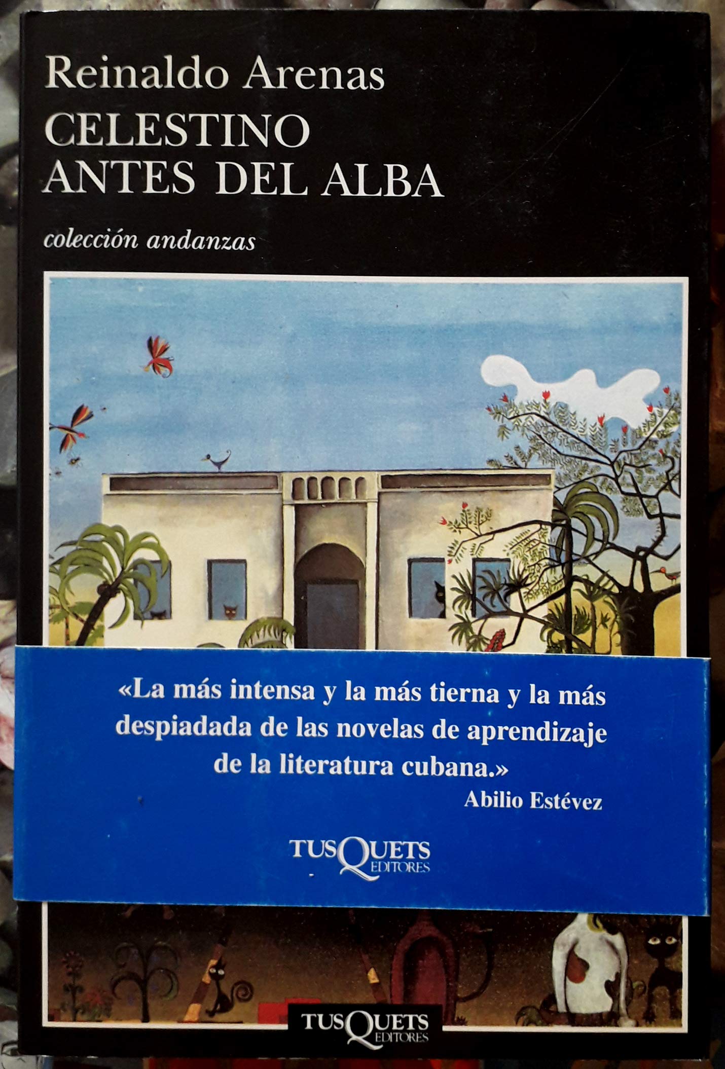 Celestino antes del alba: 395 (Andanzas)