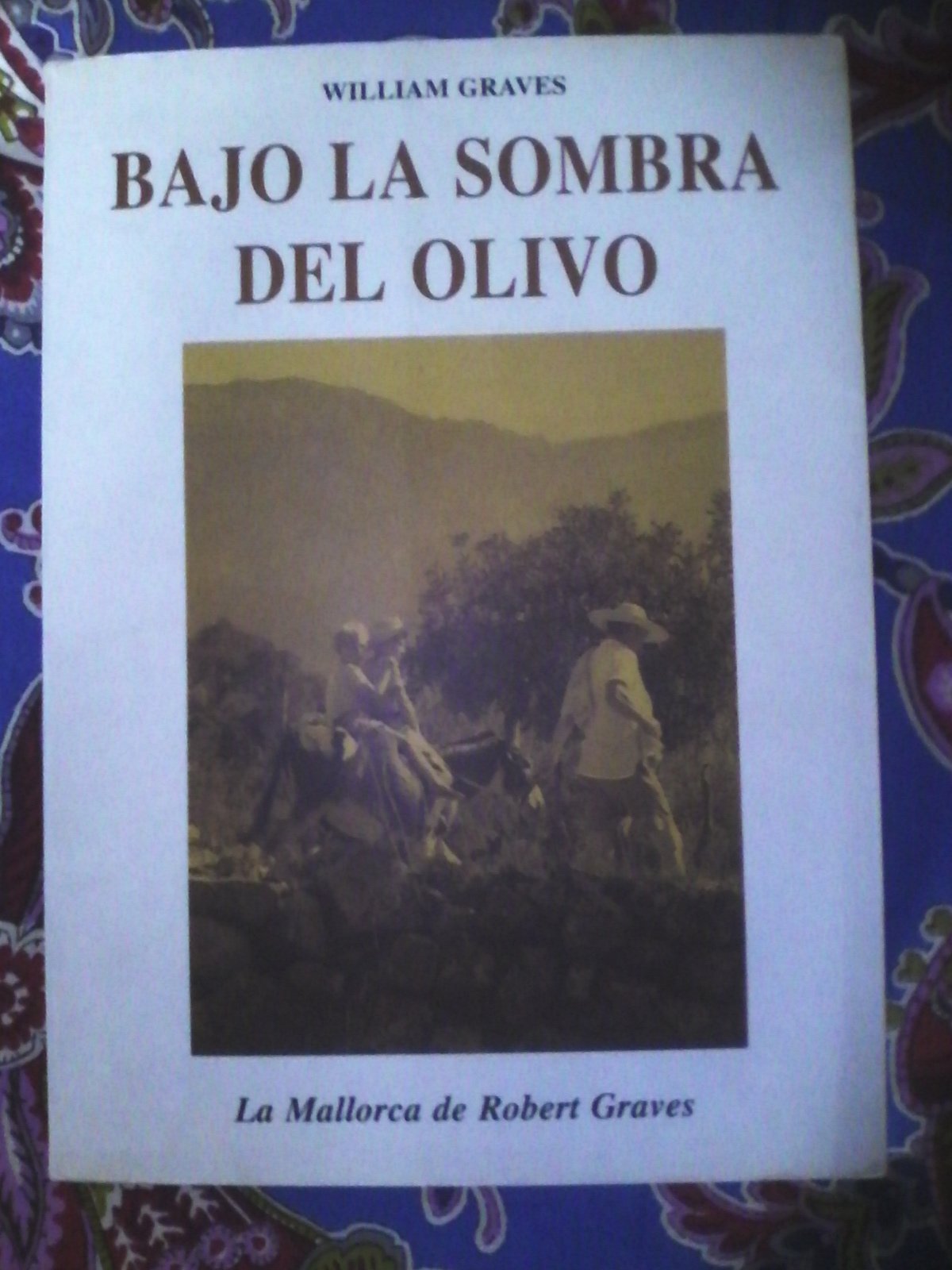 BAJO LA SOMBRA DEL OLIVO (CENTELLAS)