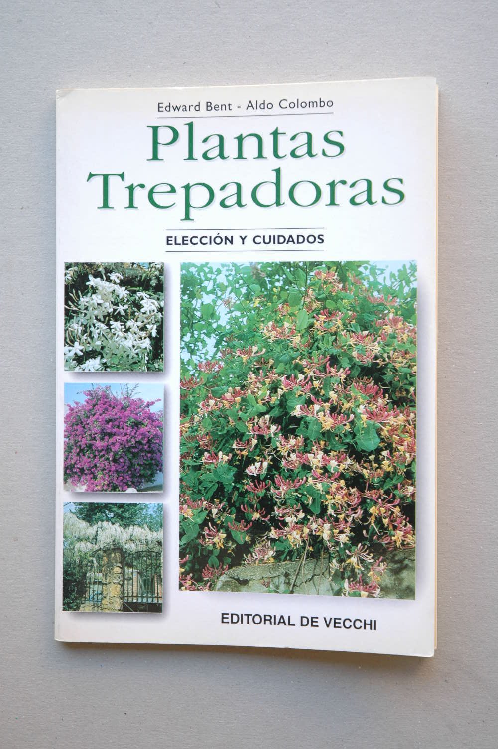 Plantas trepadoras