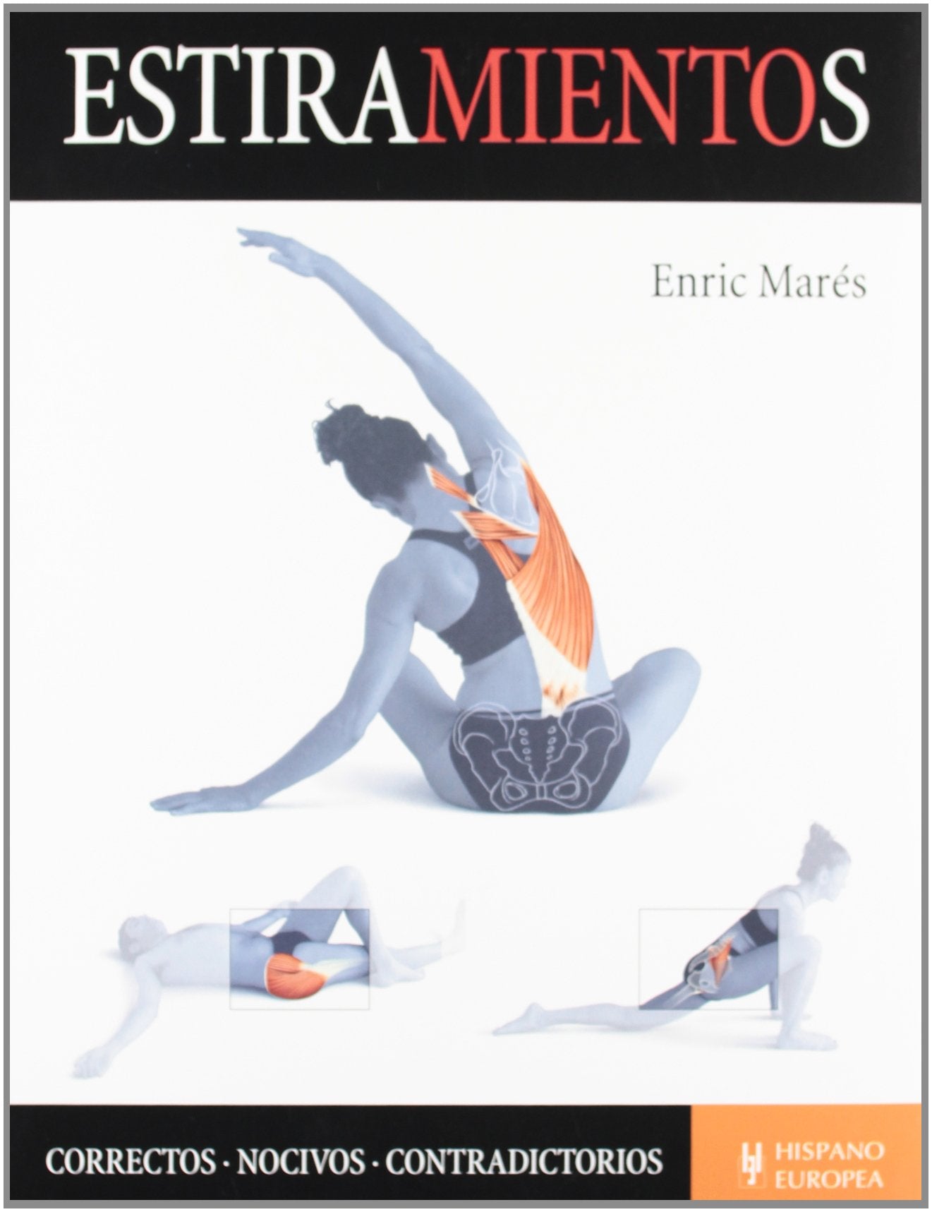 Estiramientos (SALUD Y BIENESTAR)