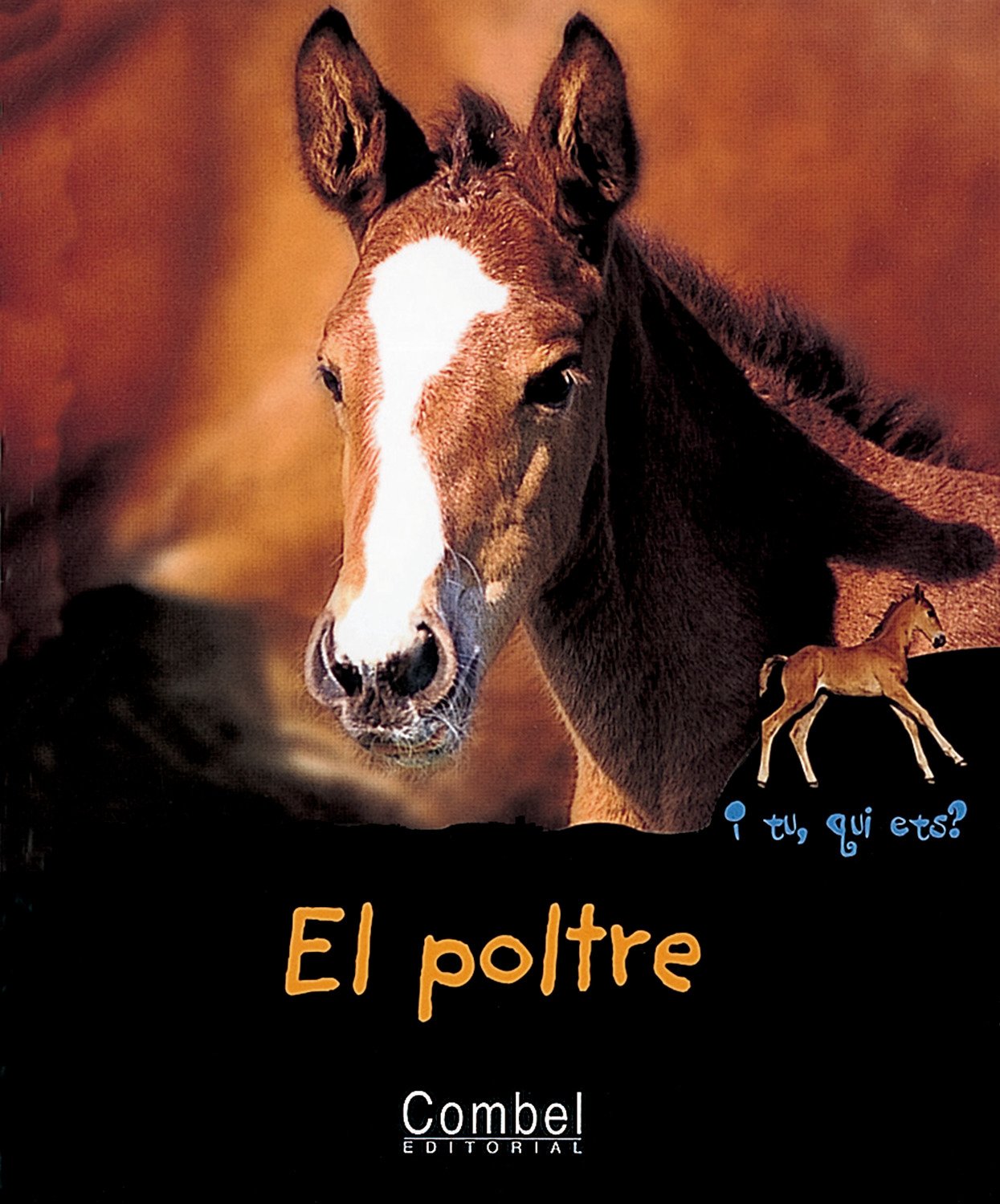 El poltre (I tu, qui ets? Animals)
