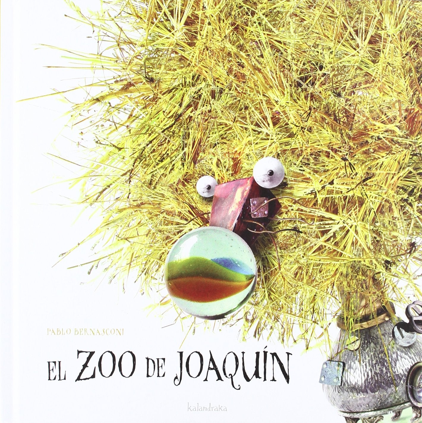 El zoo de Joaquín (libros para soñar)