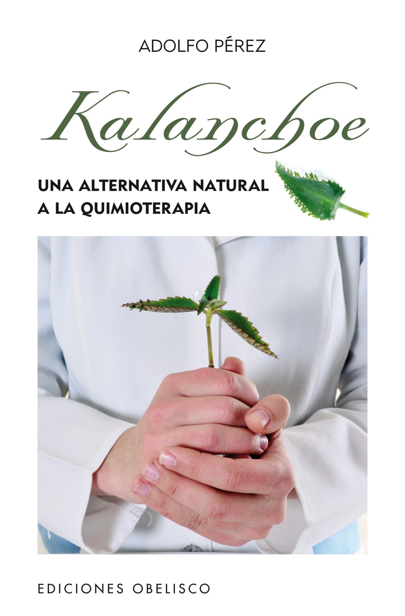 Kalanchoe (Bolsillo) (SALUD Y VIDA NATURAL)