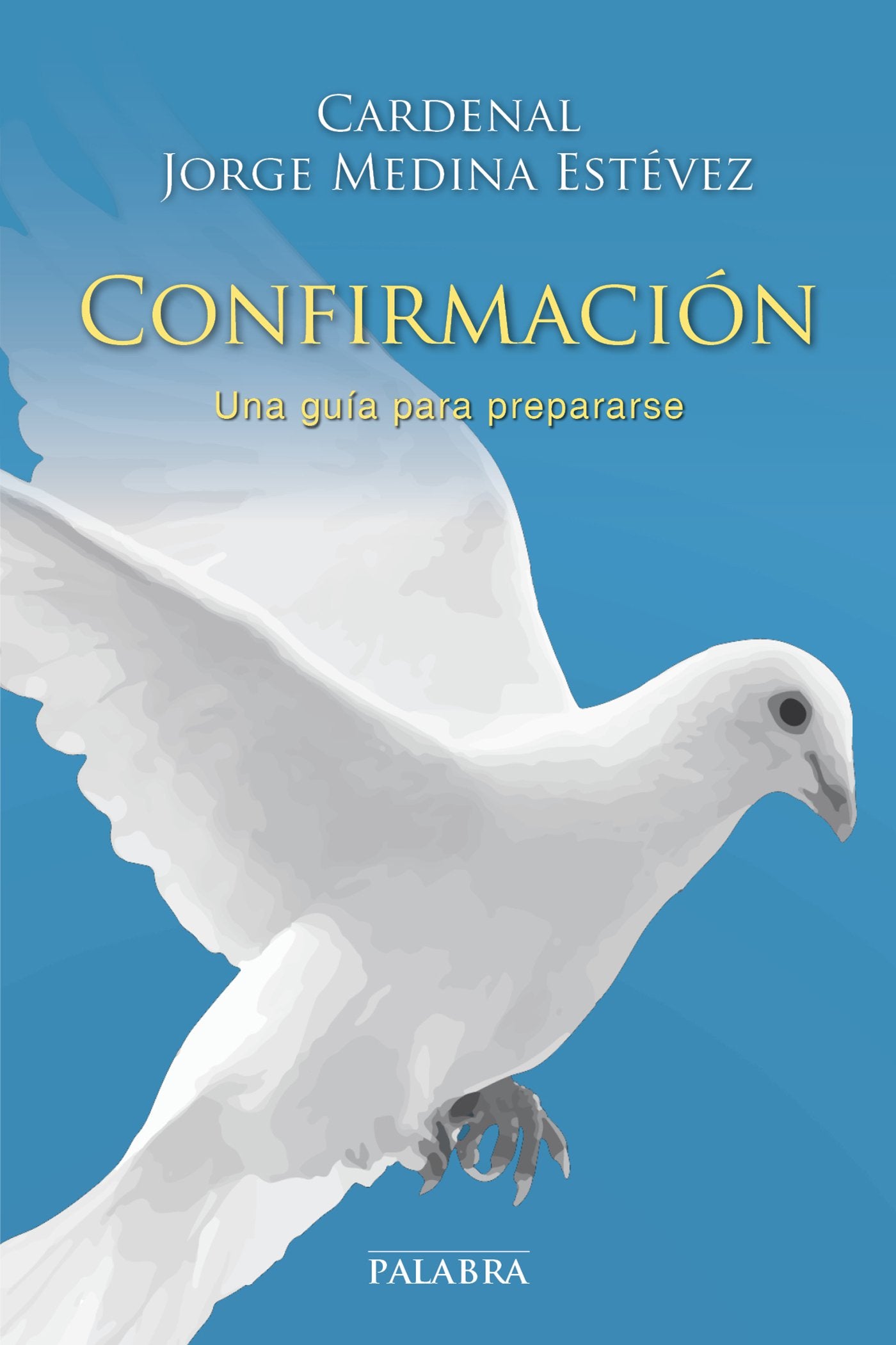 Confirmacion. Una Guia para Prepararse: Una guía para prepararse: 855 (dBolsillo)
