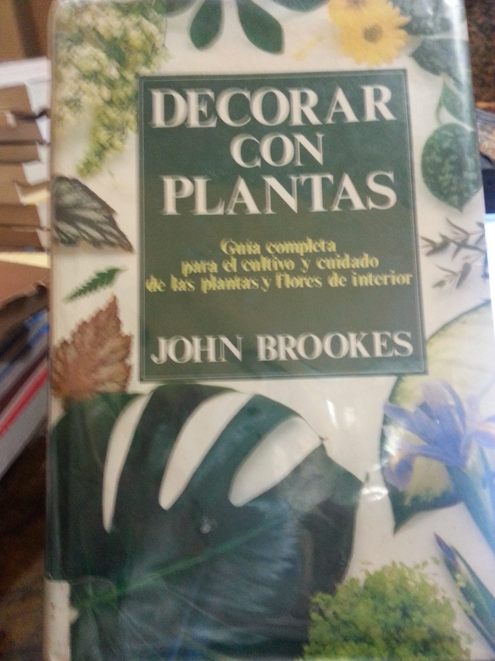 Decorar con plantas guia completa para cultivo y cuidado