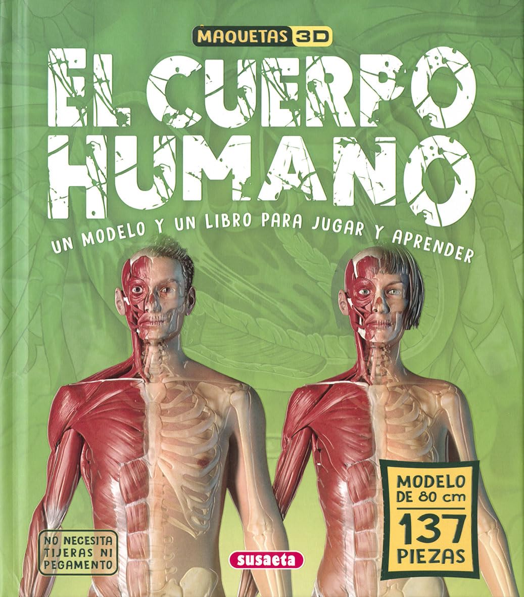El cuerpo humano (Maquetas 3D)