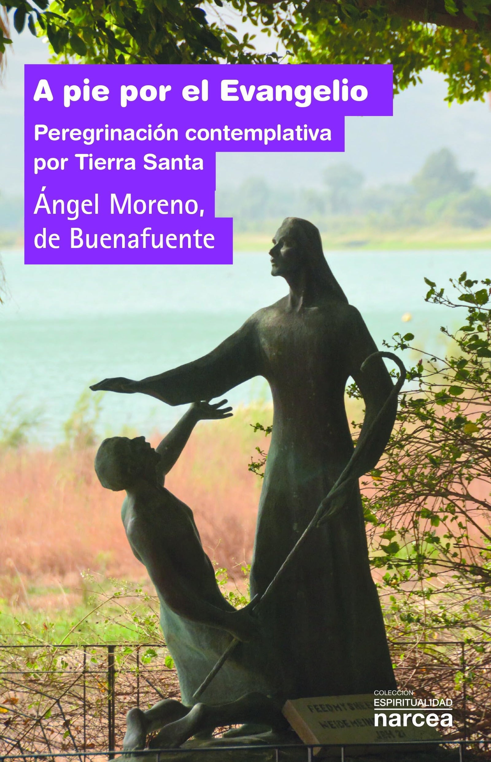 A Pie Por El Evangelio: Peregrinación contemplativa por Tierra Santa: 317 (Espiritulidad)