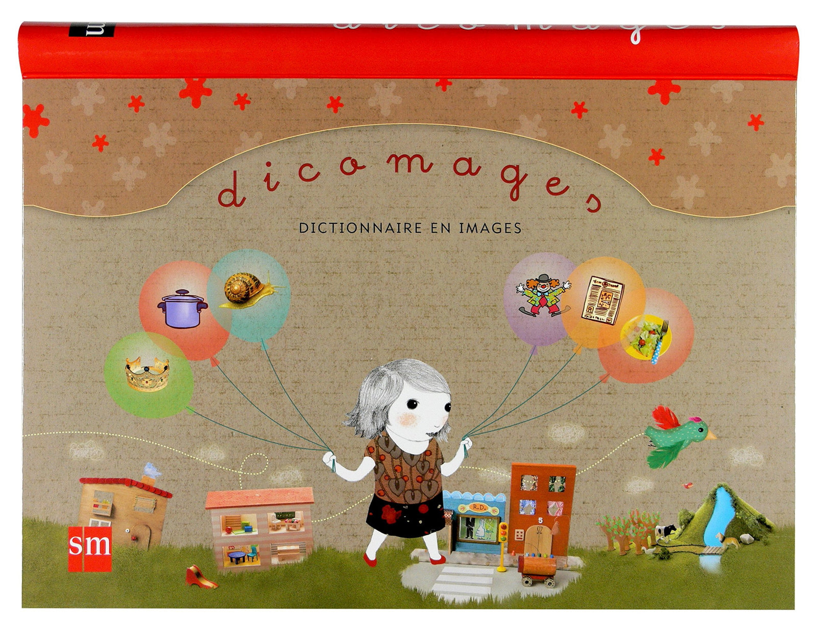Dicomages: Dictionnaire en images