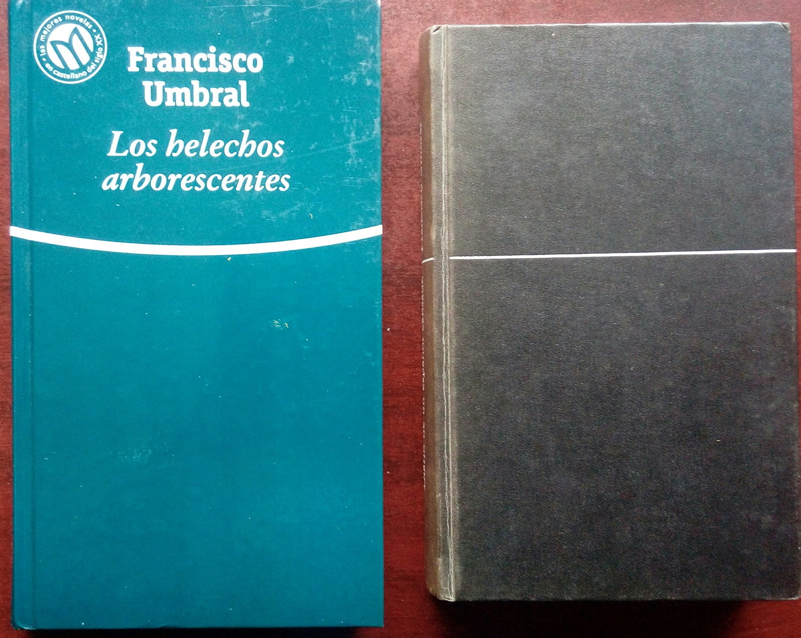LOS HELECHOS ARBORESCENTES