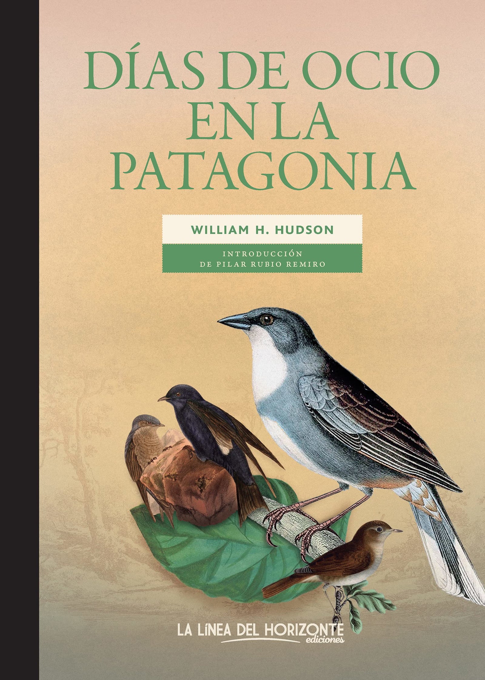 Días de ocio en la Patagonia (Solvitur ambulando. Clásicos)