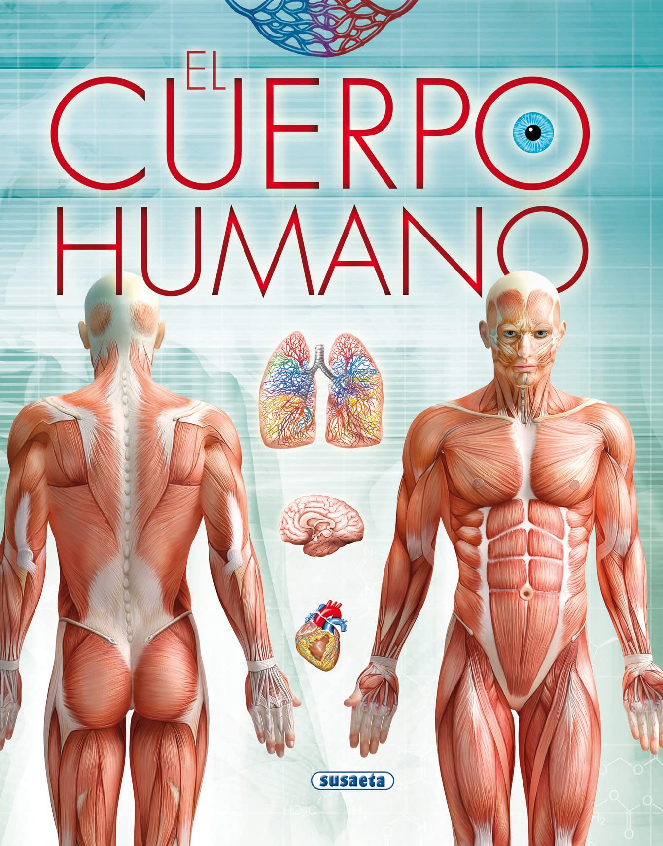 El cuerpo humano (Biblioteca esencial)
