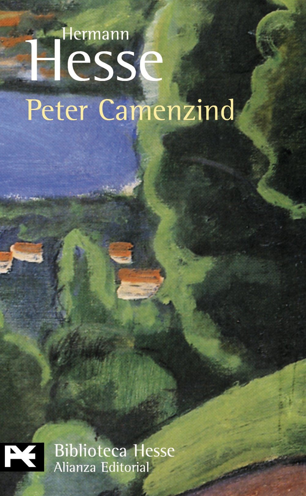 Peter Camenzind (El libro de bolsillo - Bibliotecas de autor - Biblioteca Hesse)