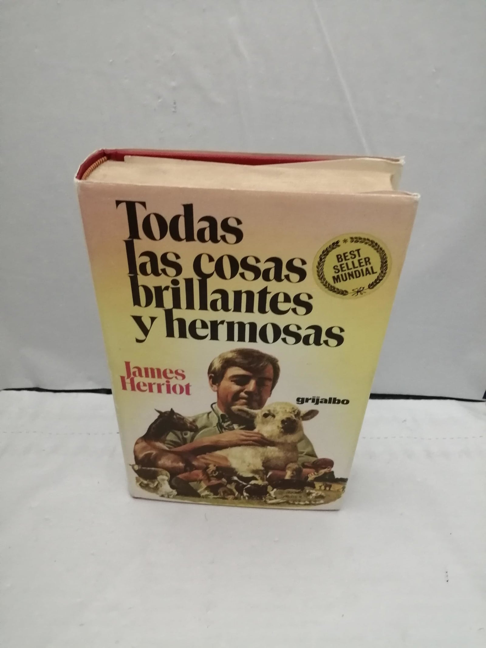 Todas las cosas brillantes y hermosas